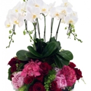 Miami Gardens Florist - Grocery Stores