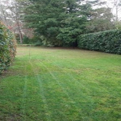 Gallery Image Number 1