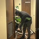 SERVPRO of Oldsmar/Westchase - Mold Remediation