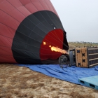 A Grape Escape Balloon Adventure