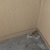 Local Choice Pest & Landscape Nutrition gallery