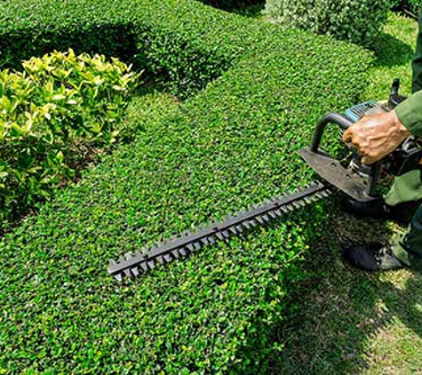 Done Right Lawn Service - Pineville, LA