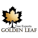 Golden Leaf Tree Experts - Landscape Contractors