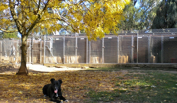 Berrima Boarding Kennels & Cattery - Berrima, NSW