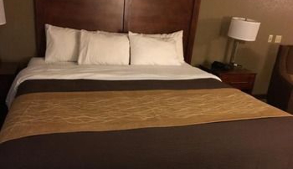 Comfort Inn-salem - Salem, IL