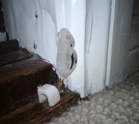 Systems Pest Management Pty Ltd - Thornleigh, NSW