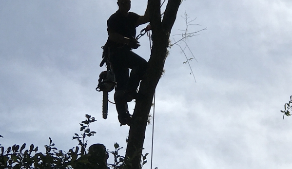 Dunkle's Tree Service - Jacksonville, FL