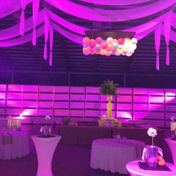 Gallery Image Number 2