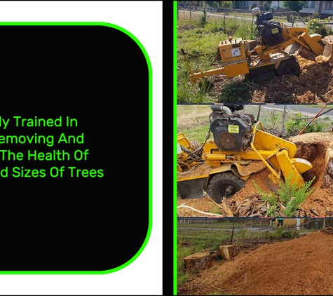Rob's Tree Service - Tyers, VIC. We Are Highly Trained In Trimming, Removing And Maintaining The Health Of All Types And Sizes Of Trees