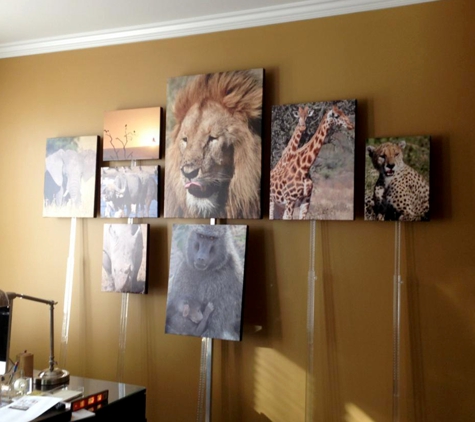 Picture Hanging Professionals, LLC - Washington, MI