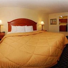 Comfort Inn Sun City Center-Tampa South