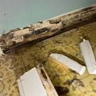 FDP Mold Remediation of Bethesda