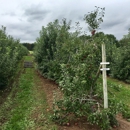 Norton Brothers Fruit Farm - Farms