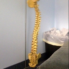 Teller Chiropractic Center