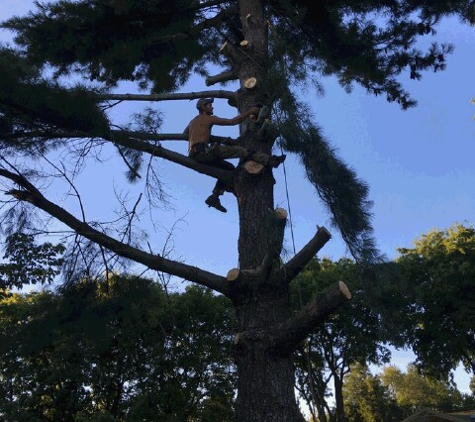 Johnathan Gill Tree Service - Bowling Green, KY. Johnathan Gill  myself getting it done