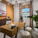 Toll Brothers-717 Lyon - Home Builders