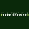 Bill's Tree Service gallery