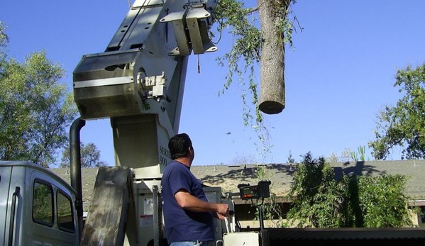 AAA Quality Tree Service - Auburn, CA