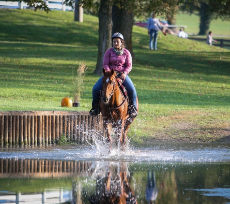 Alex Tyson Horsemanship - Fenton, MI. Dantu, third place in trail at the 2021 Thoroughbred Makeover