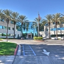 Morris Marcus A-Professional Chiropract - Chiropractors & Chiropractic Services