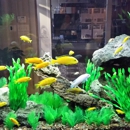 AQUARIUMS FOR LIFE! Aquarium Maintenance Service,  Formerly "That Fish Guy" - Pet Services