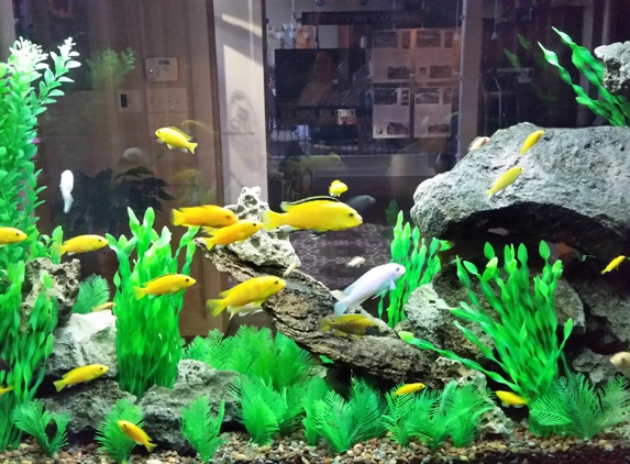 AQUARIUMS FOR LIFE! Aquarium Maintenance Service,  Formerly "That Fish Guy"