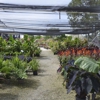 Nu Turf Garden Shop gallery