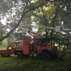 Hagan & Sons Tree Service