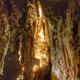 Colossal Cave Mountain Park