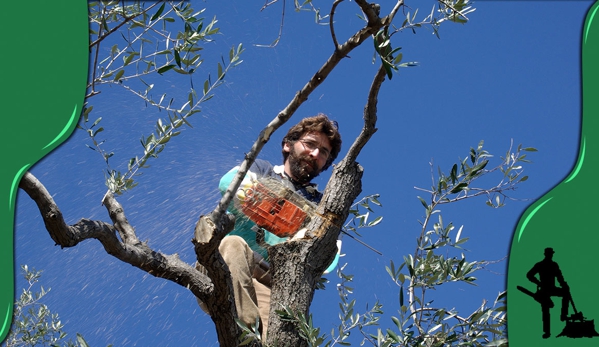 Peninsula Tree & Stump Service - Curramulka, SA. We also have a cherry picker available as well as offering mulch and firewood.