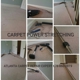 Atlanta Carpet Cleaners