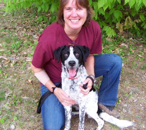 Three Dog Training - Pepperell, MA