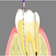 New Image Dental, LLC