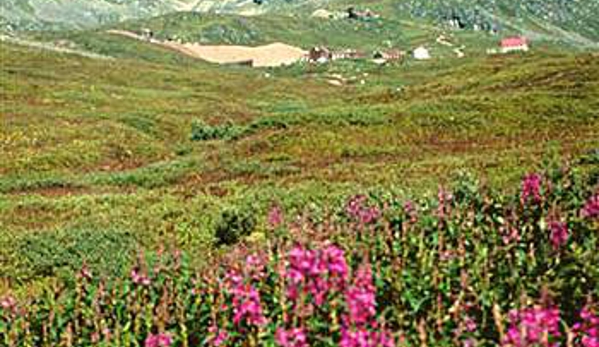 Hatcher Pass Bed & Breakfast - Palmer, AK