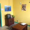 All Breed Pet Grooming gallery