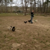 Loch Haven Dog Park gallery