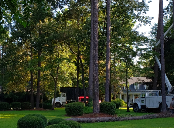 Cannon Tree And Lawn Service - Adel, GA