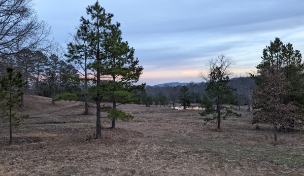 Edendell Campground & Vacation Rentals - Oden, AR. Campground