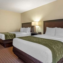 Comfort Inn & Suites Warsaw near US-30 - Motels