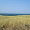Race Point Beach gallery