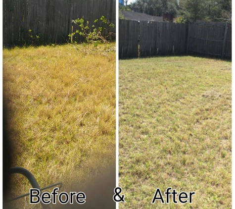 Gordon's Lawn Care - Saint Petersburg, FL