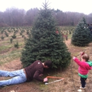 Sugar Pines Farm - Christmas Trees