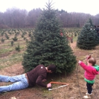 Sugar Pines Farm