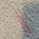 Anderson Carpet Cleaning Inc - Carpet & Rug Cleaners