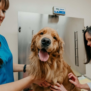 Fallston Veterinary Clinic - Fallston, MD