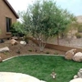 Evergreen Landscaping