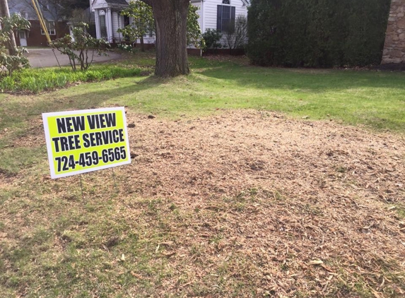 New View Tree Service - Blairsville, PA. After Removal