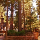 Big Bear Cool Cabins - Vacation Homes Rentals & Sales