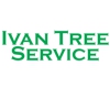 Ivan Tree Service gallery