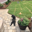 Fluffs of Luv Pet Sitting & Dog Walking - Pet Services